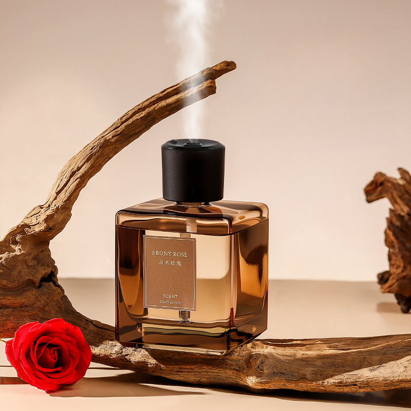 Diffusore di Aromi da 500ml, D - Home Fragrance Tool recensione e prezzo