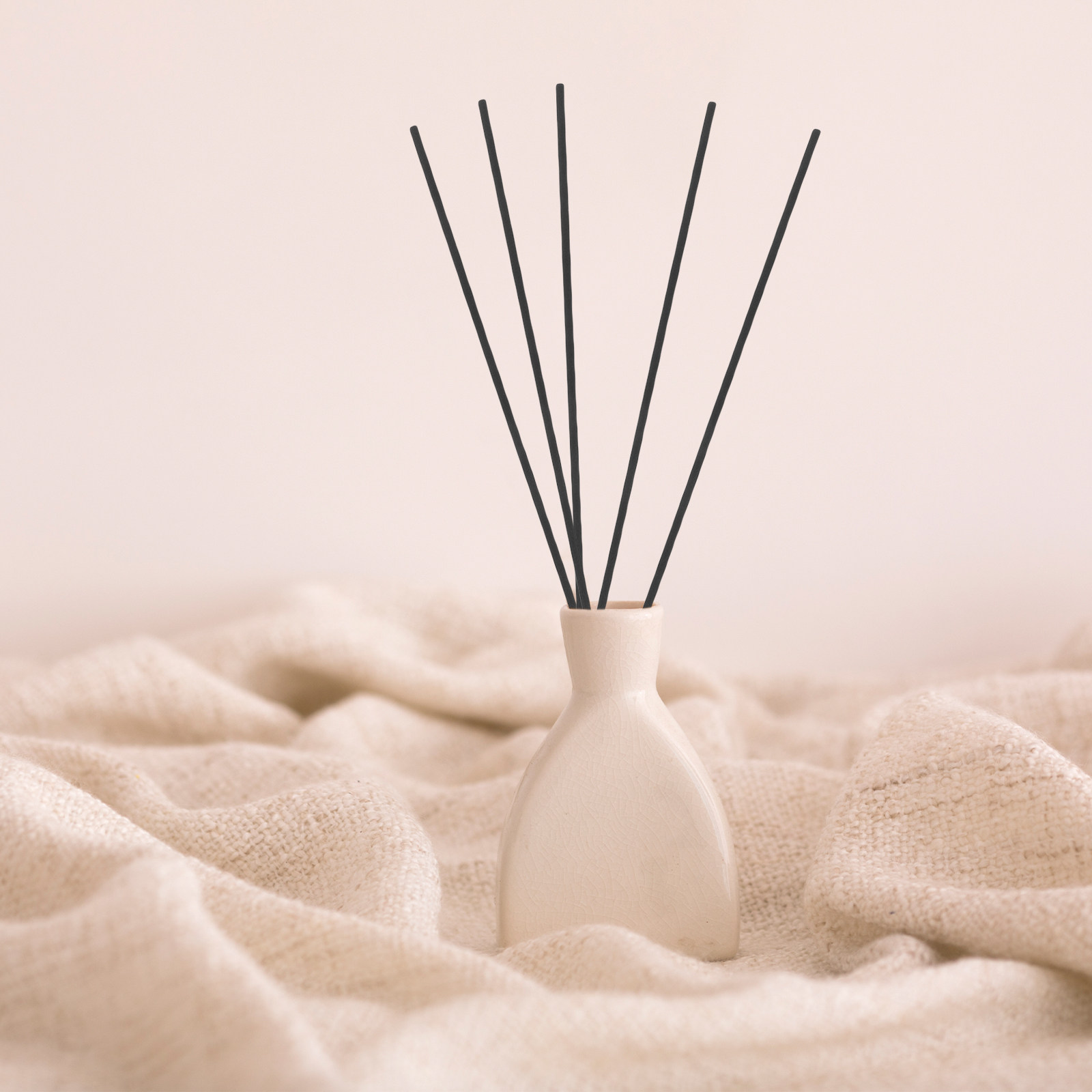 100 Pezzi Bastoncini Diffusori - Home Fragrance Oil Diffuser recensione e prezzo